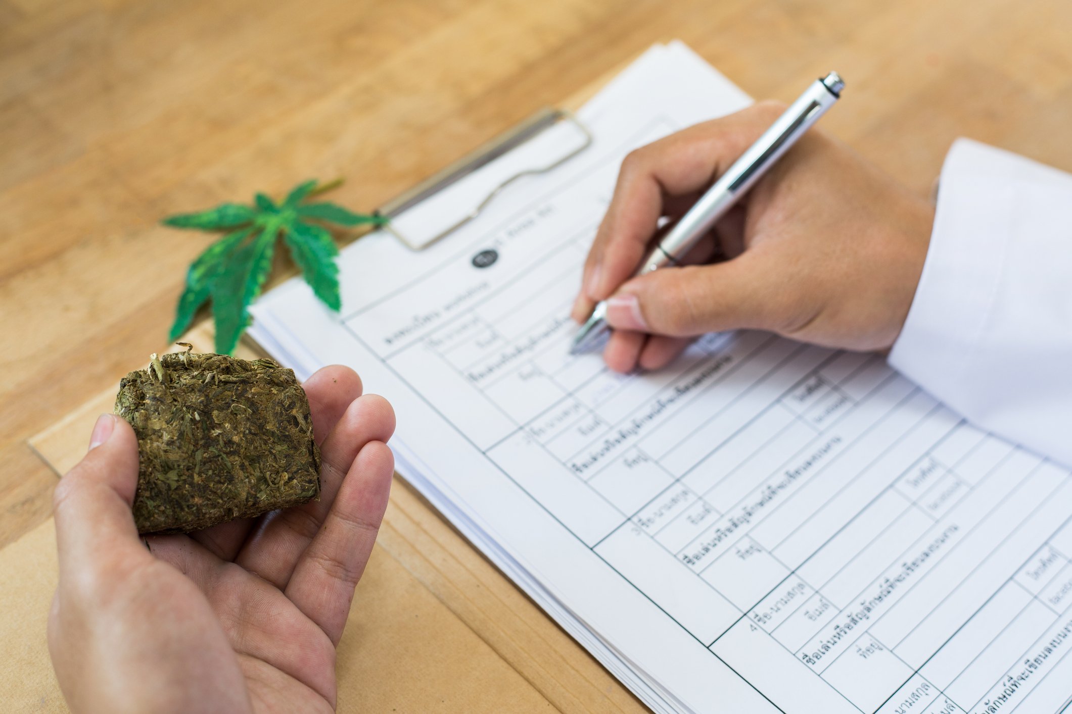 Person conducting marijuana research.
