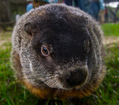 GettyImages-1175952650