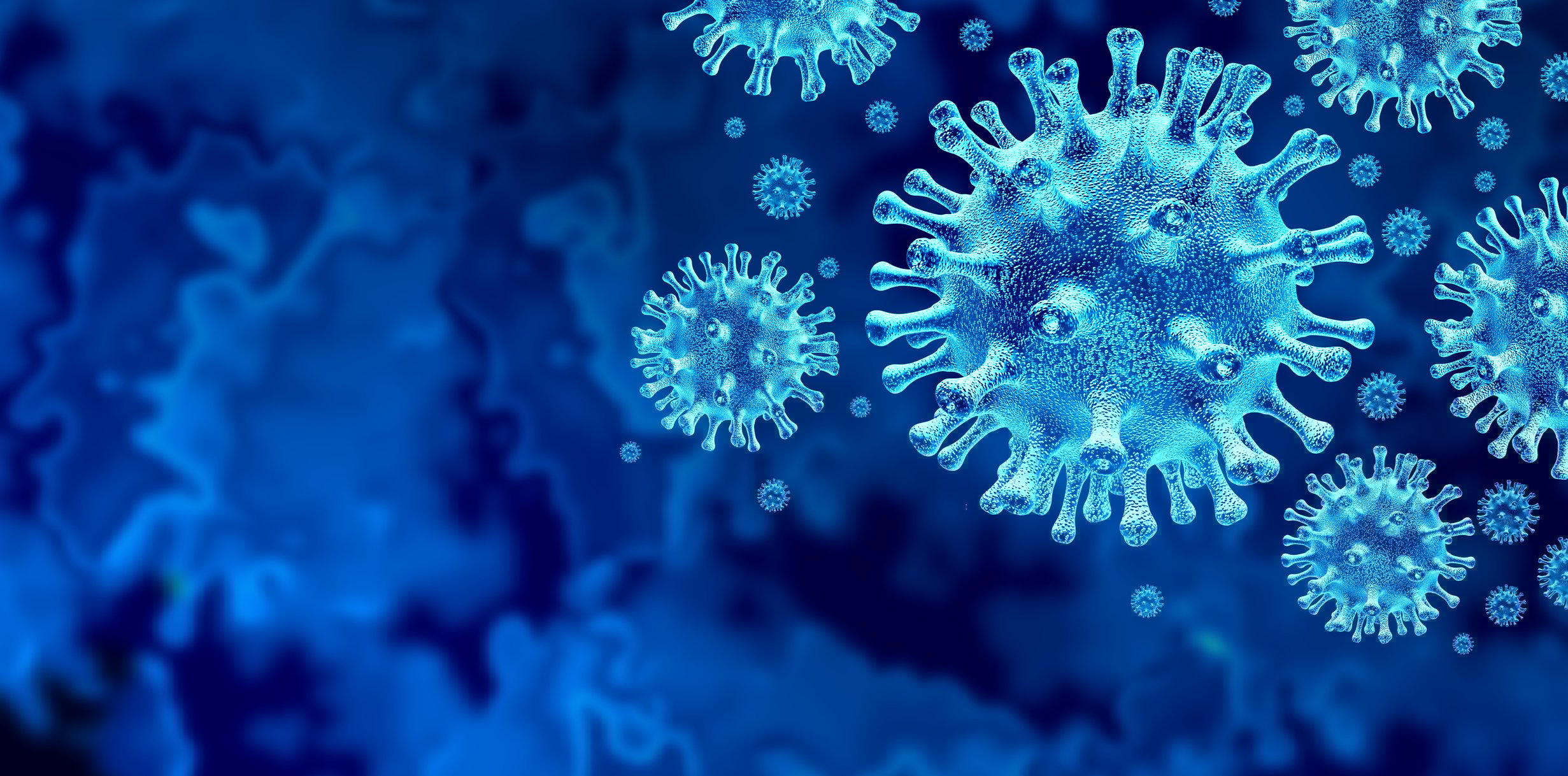 A 3D illustration of coronavirus particles.
