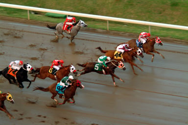 Horse race view