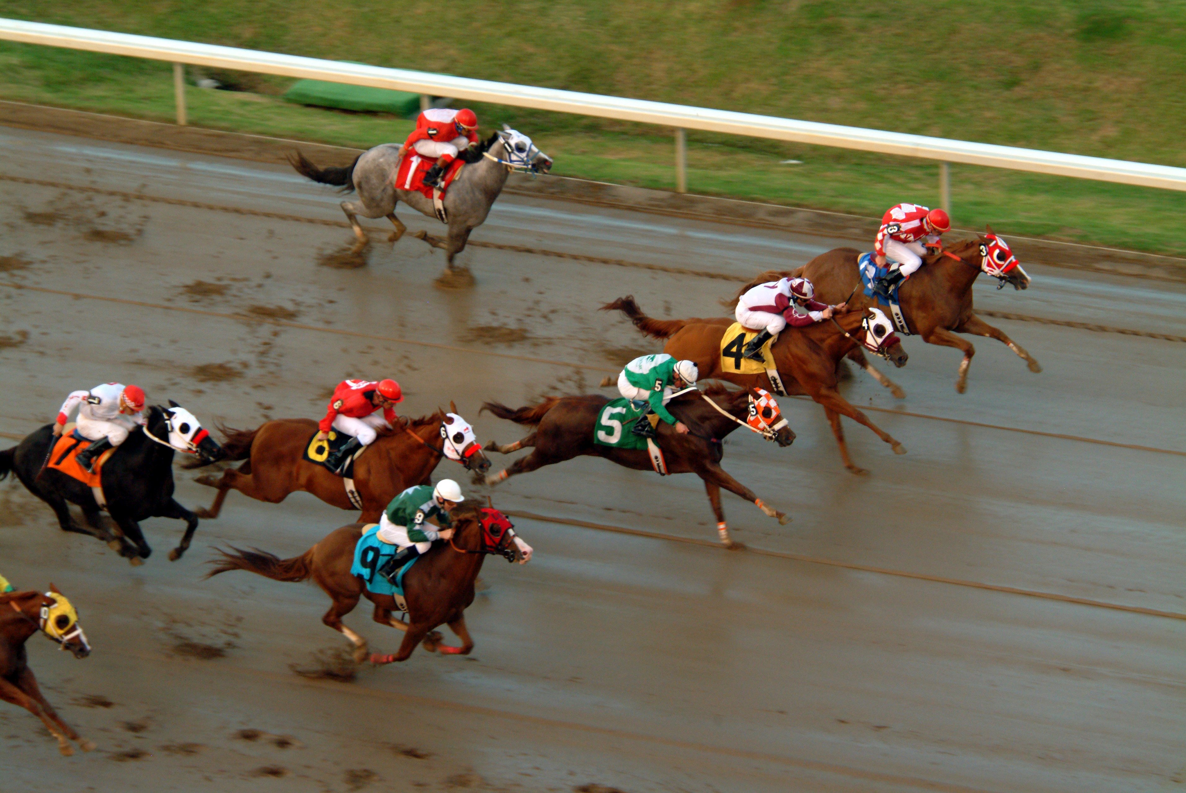 Horses racing along a muddy track.