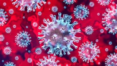 A coronavirus colony