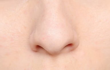 nose