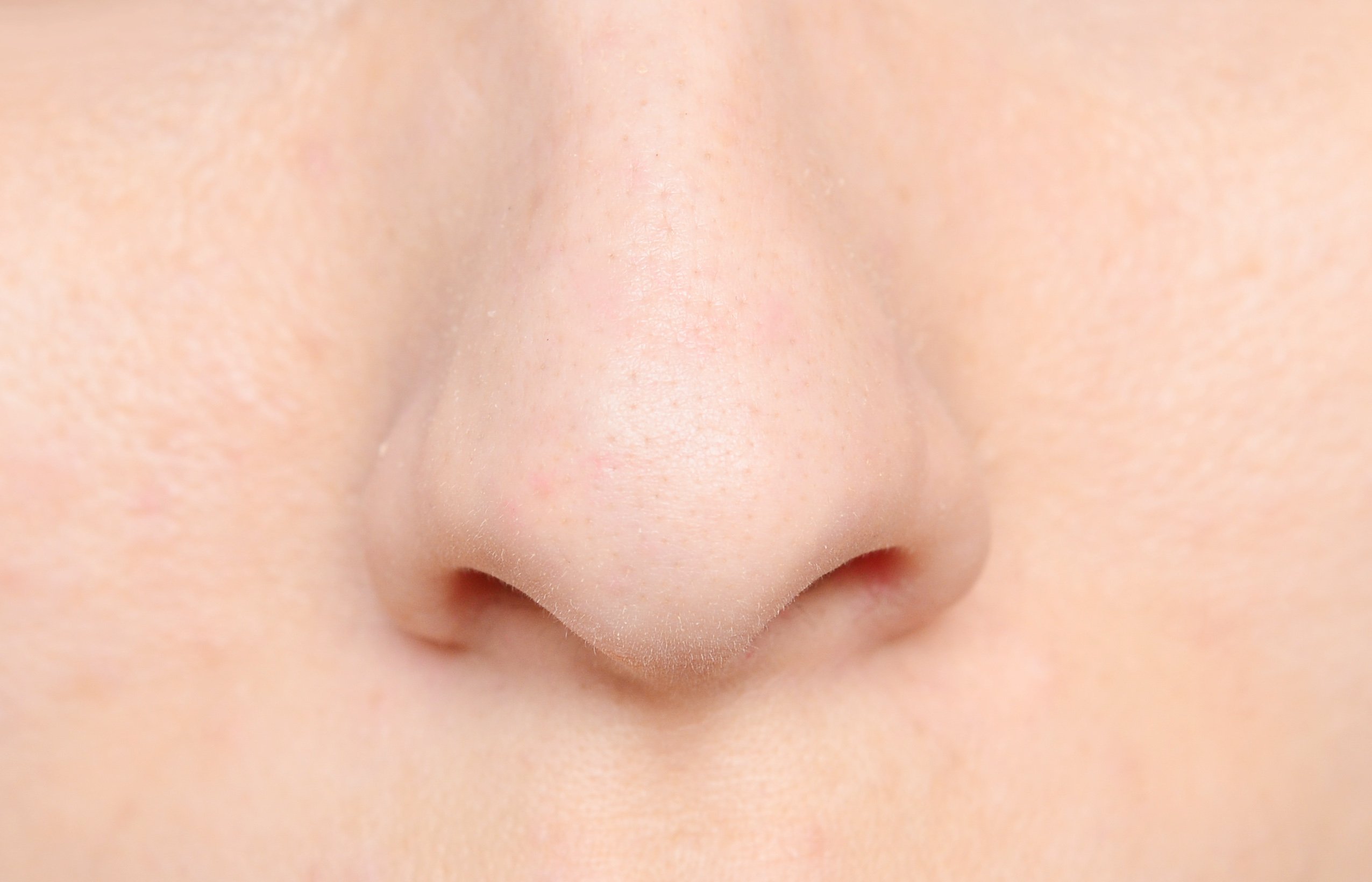 Human nose