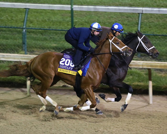 Two horses galloping side by side on a sand track next to rail and grass.