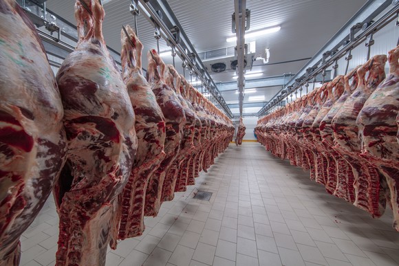 Beef hanging in an industrial freezer