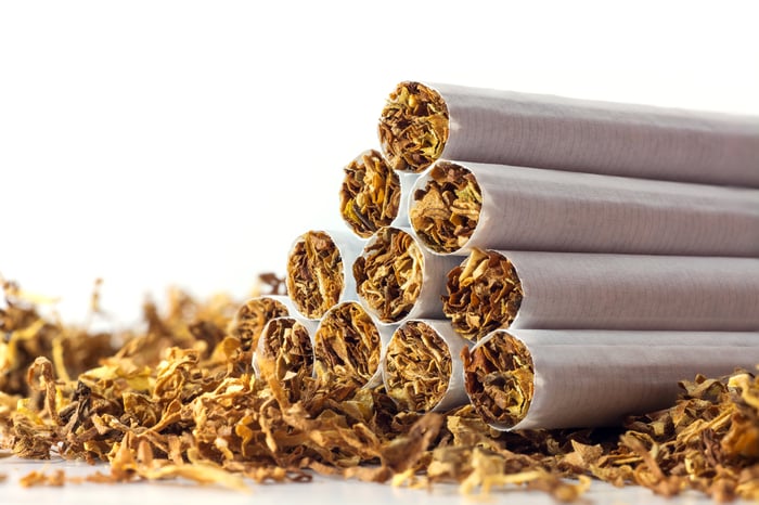A small pyramid of tobacco cigarettes that's lying on a thin bed of dried tobacco.