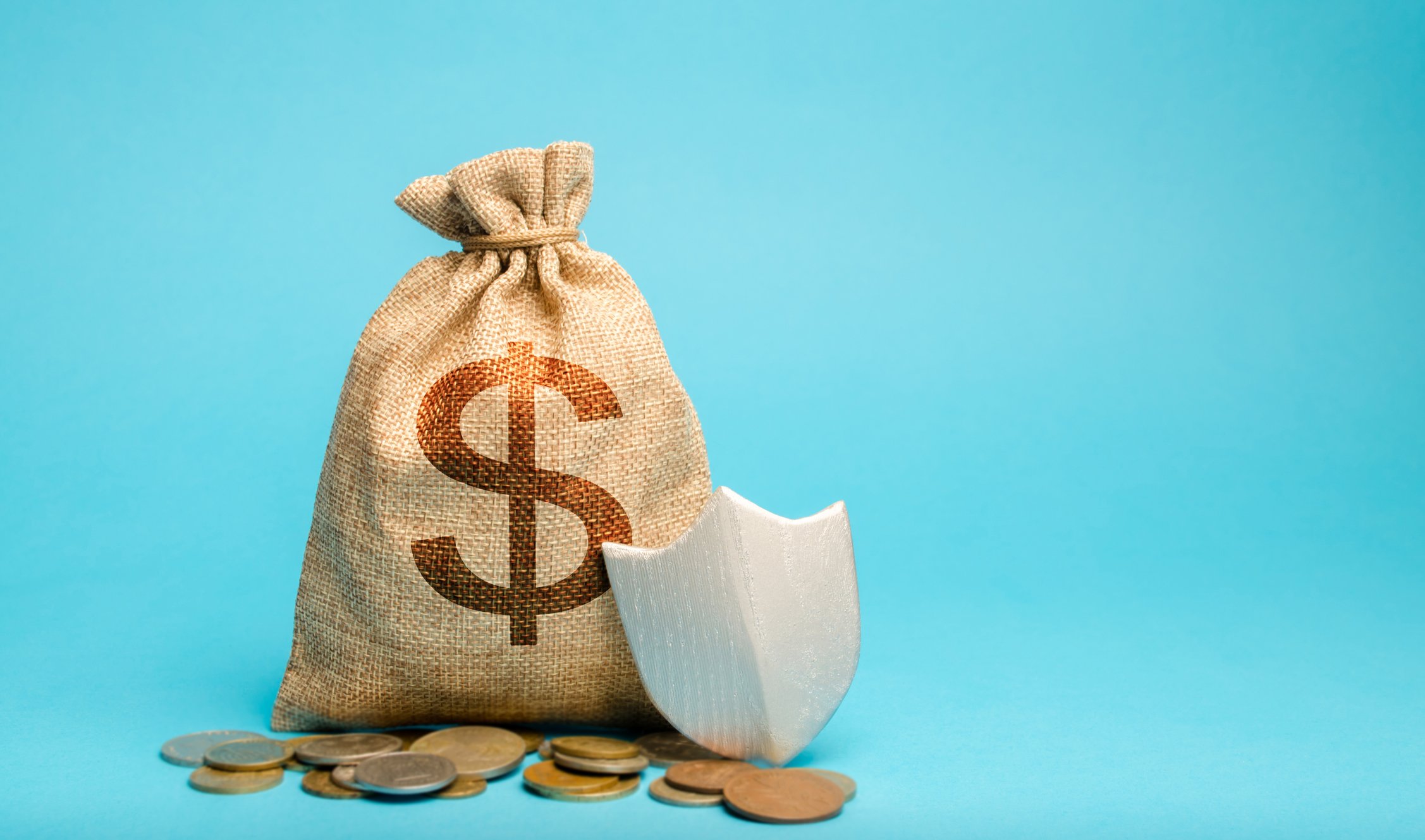 A large bag marked with a dollar sign, surrounded by various coins and a shield.