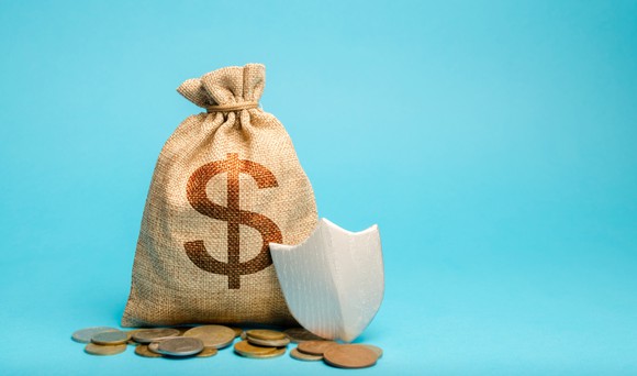 A large bag marked with a dollar sign, surrounded by various coins and a shield.