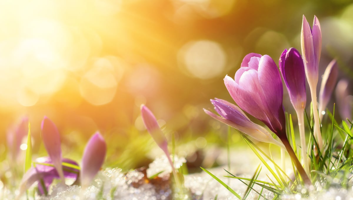5 Top Stocks for April | The Motley Fool