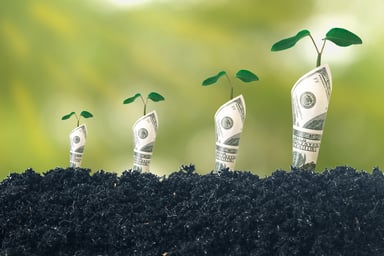 Bank notes rolled on soil showing growth