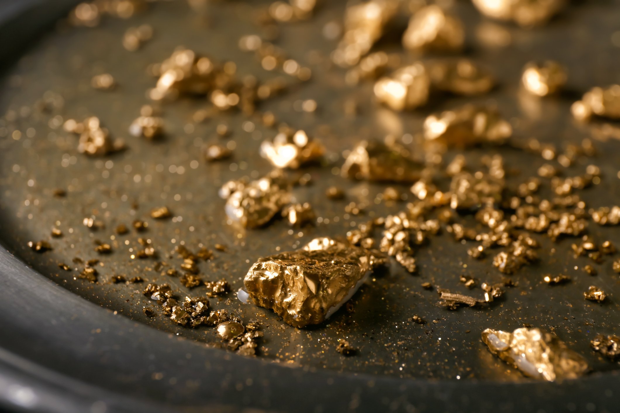Gold nuggets on a metal plate.