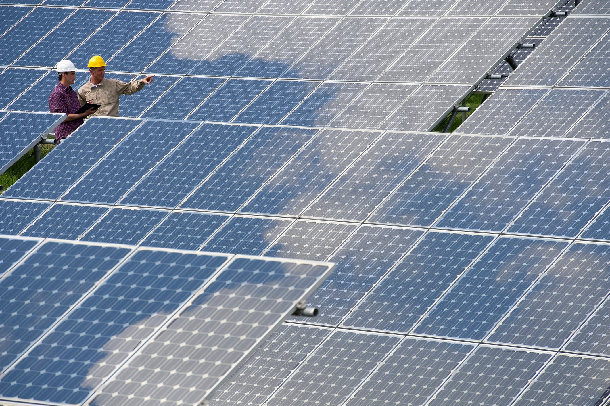 Two engineers stand among an array of solar panels.