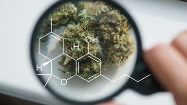 cannabidiol-under-looking-glass-getty