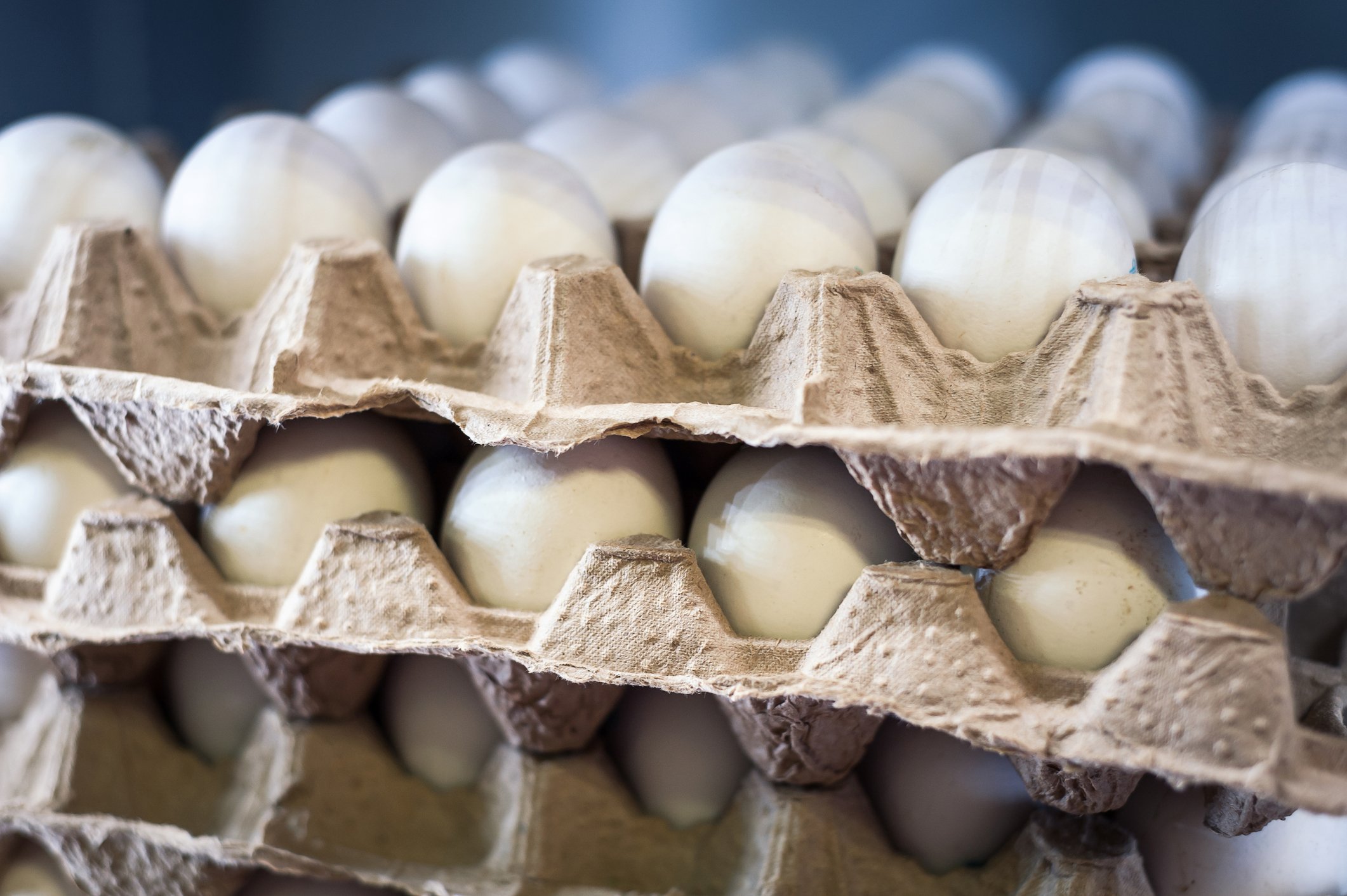 Several trays of eggs stacked on top of each other.