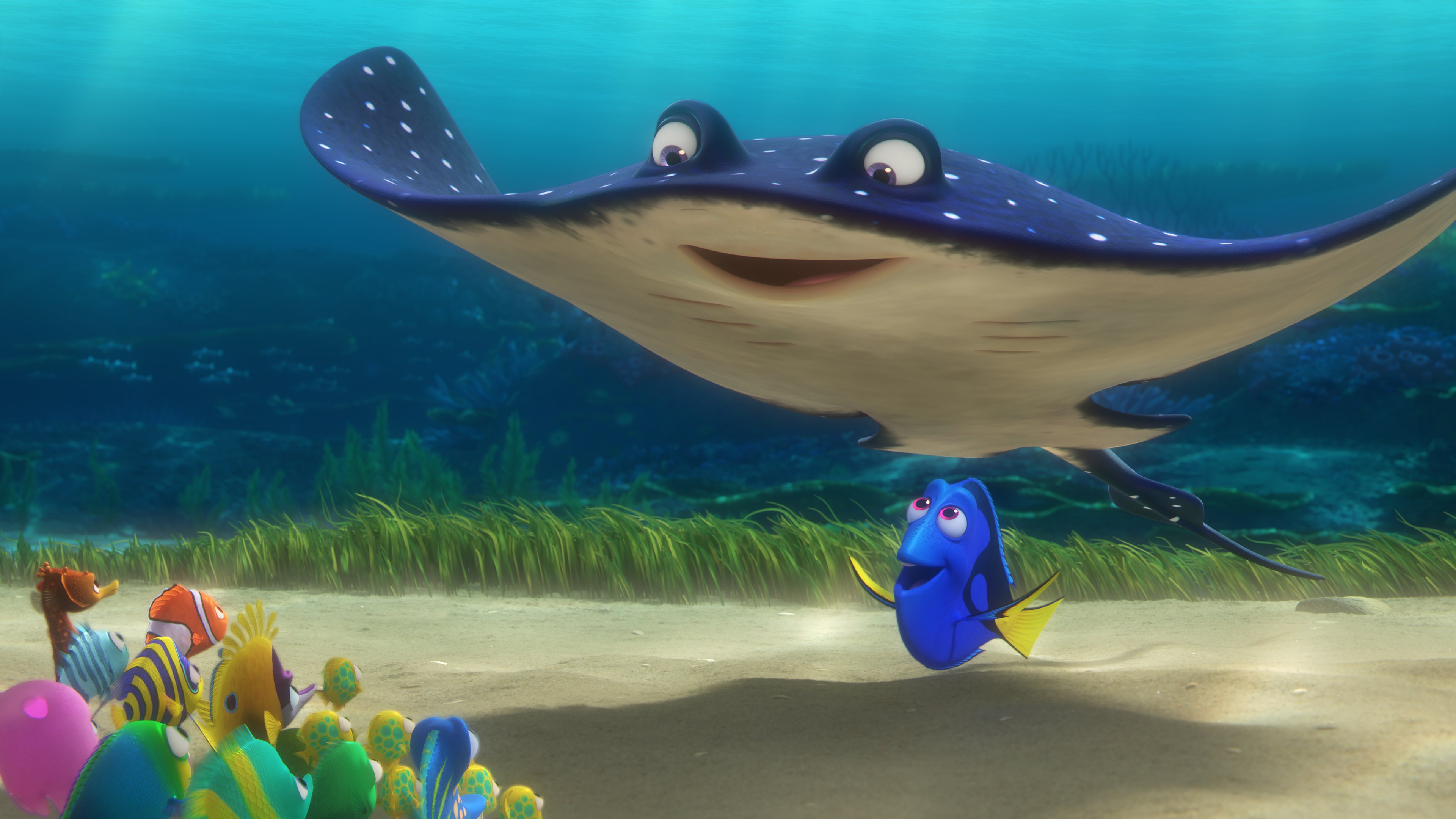 Still image from Finding Dory