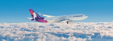 Hawaiian Airlines airplane in flight