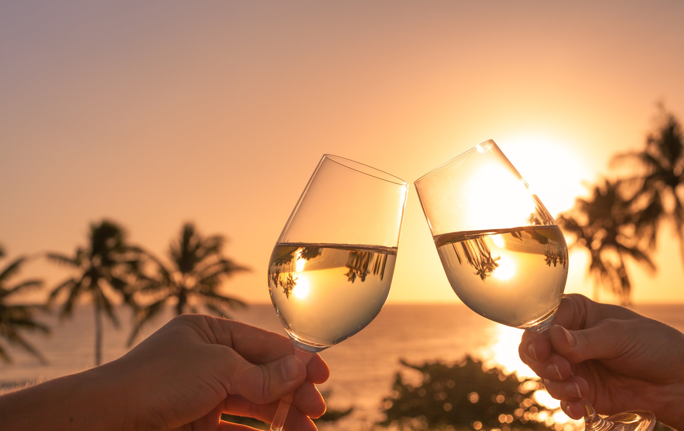 Two wine glasses clink in front of a setting sun. 