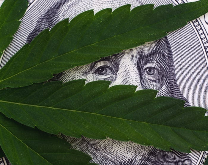 Ben Franklin hiding under a pot leaf.