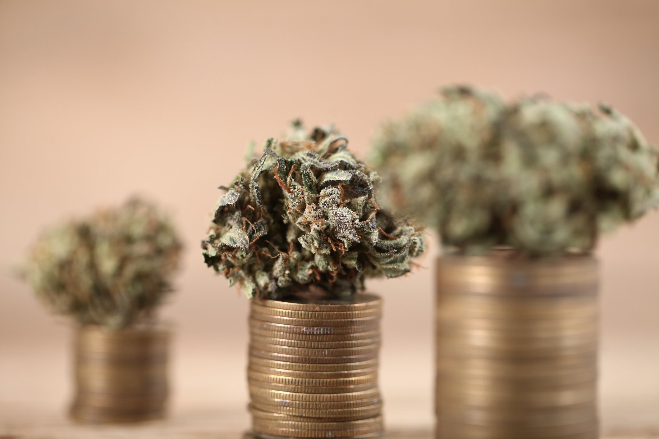 Cannabis flower on stacked coins.