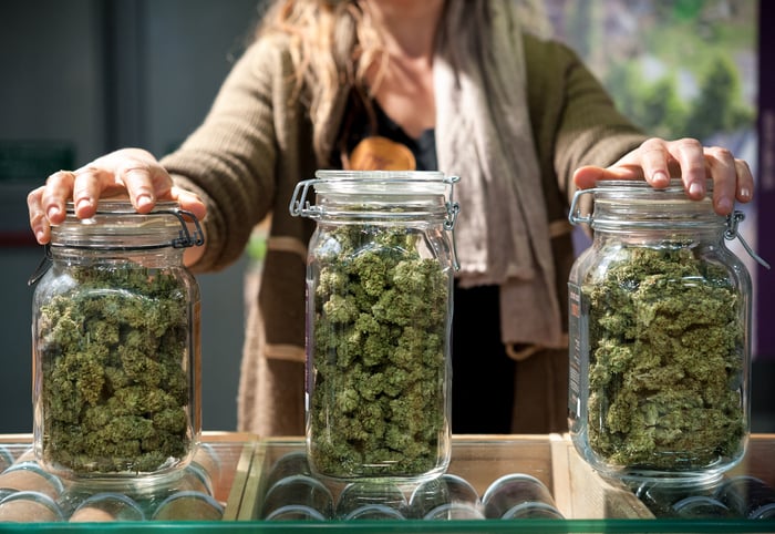 A person standing behind jars of marijuana.