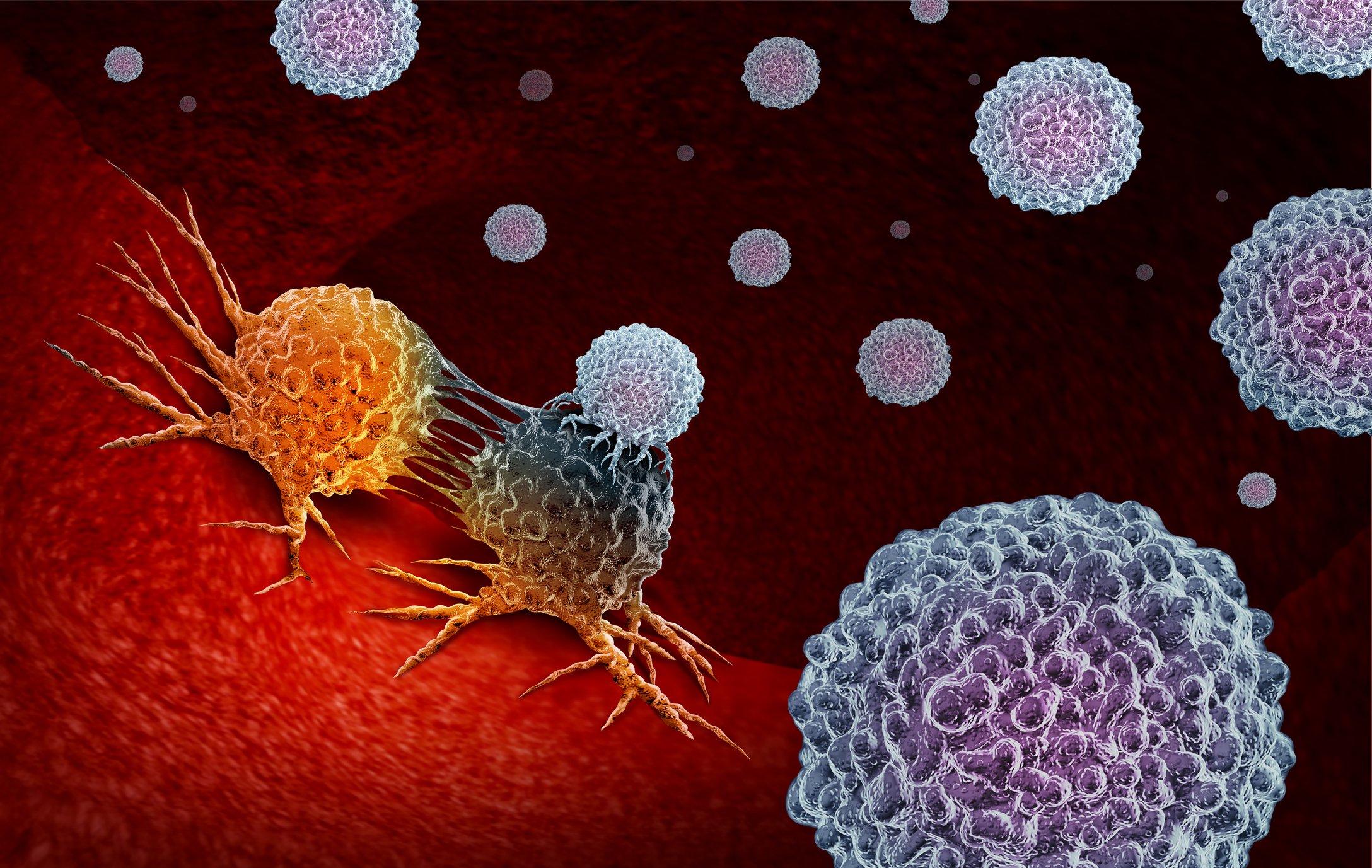 Cancer immunotherapy