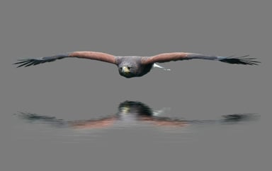 GettyImages-539244083