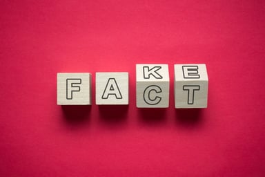 fake fact