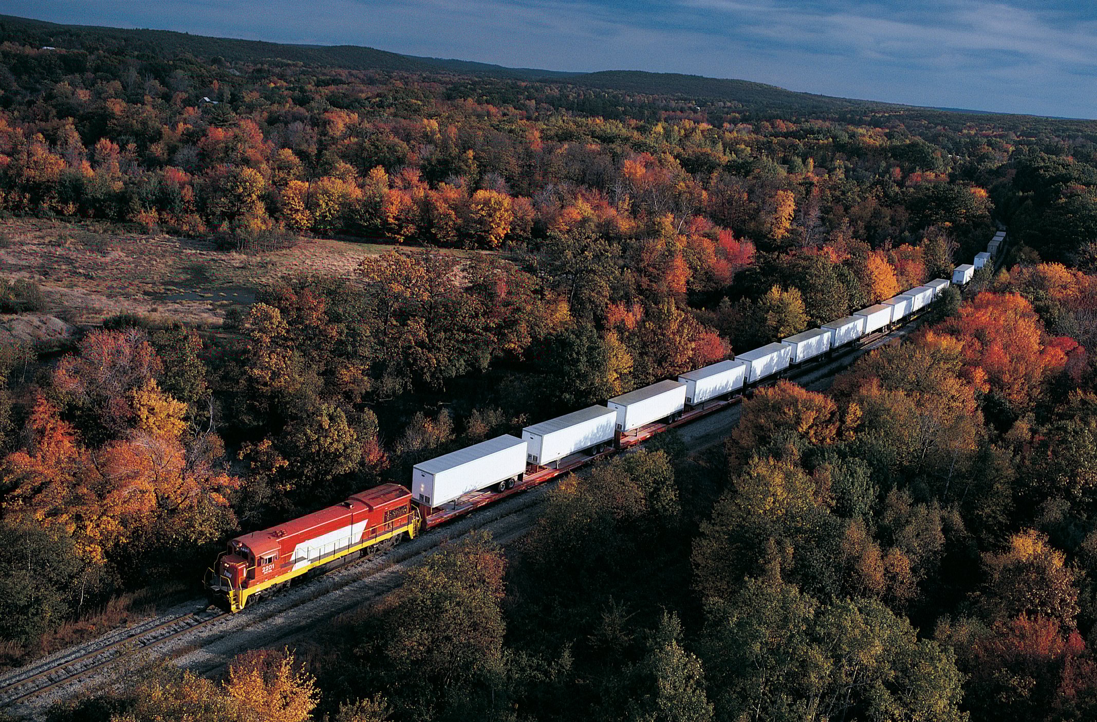 A freight train moving through a wooded area