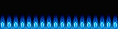 Row of blue natural gas flames burning