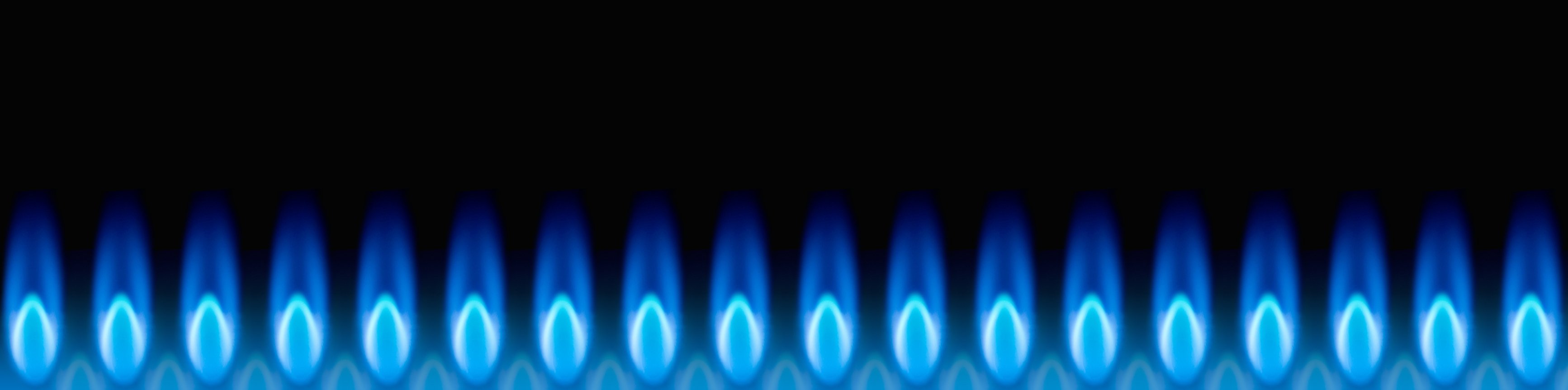Row of blue natural gas flames burning