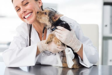 woman vet with dog
