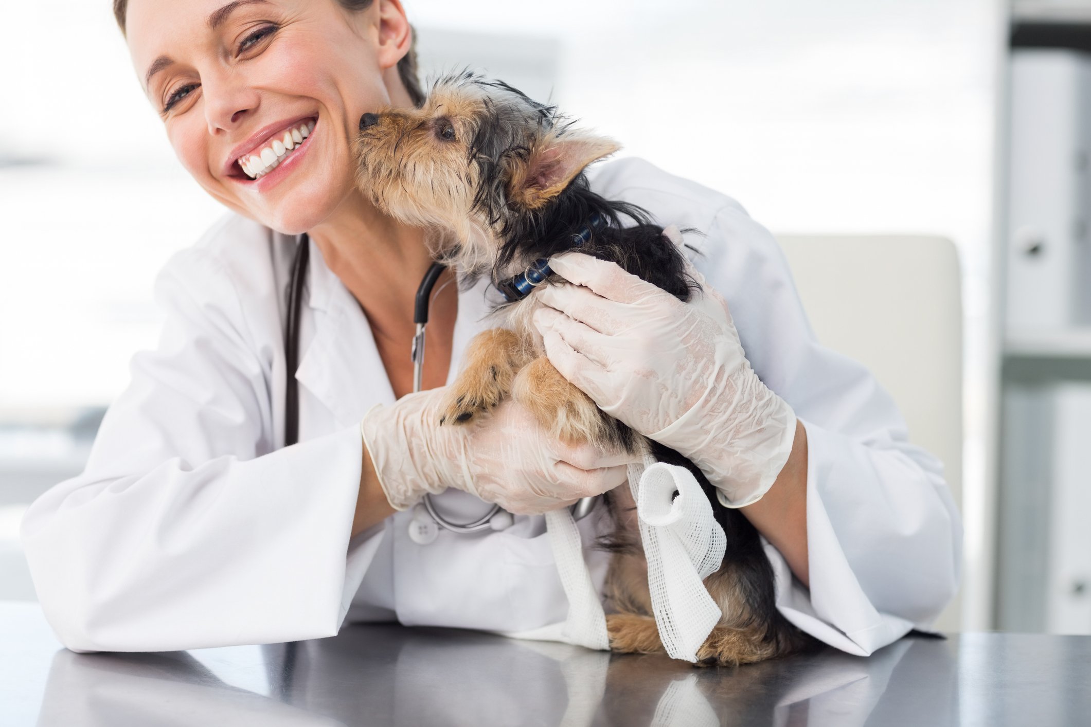 VET WITH DOG