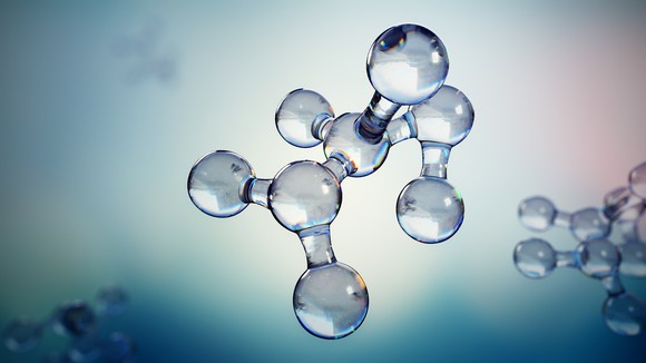 A polymer molecule.