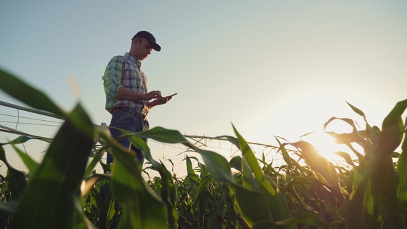 Man standing in a field