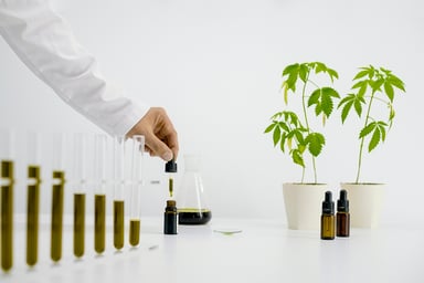 GettyImages-1153702143