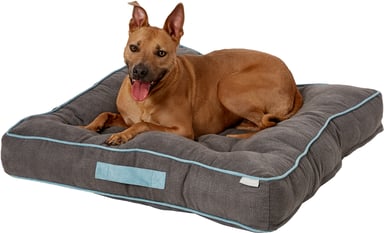 chewy dogbed