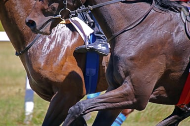 Neck and Neck