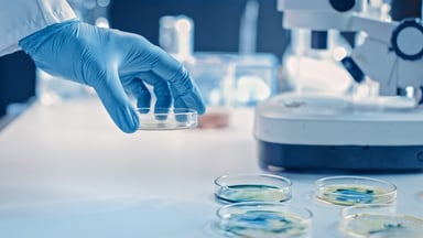 Scientist's hands with petri dishes in lab