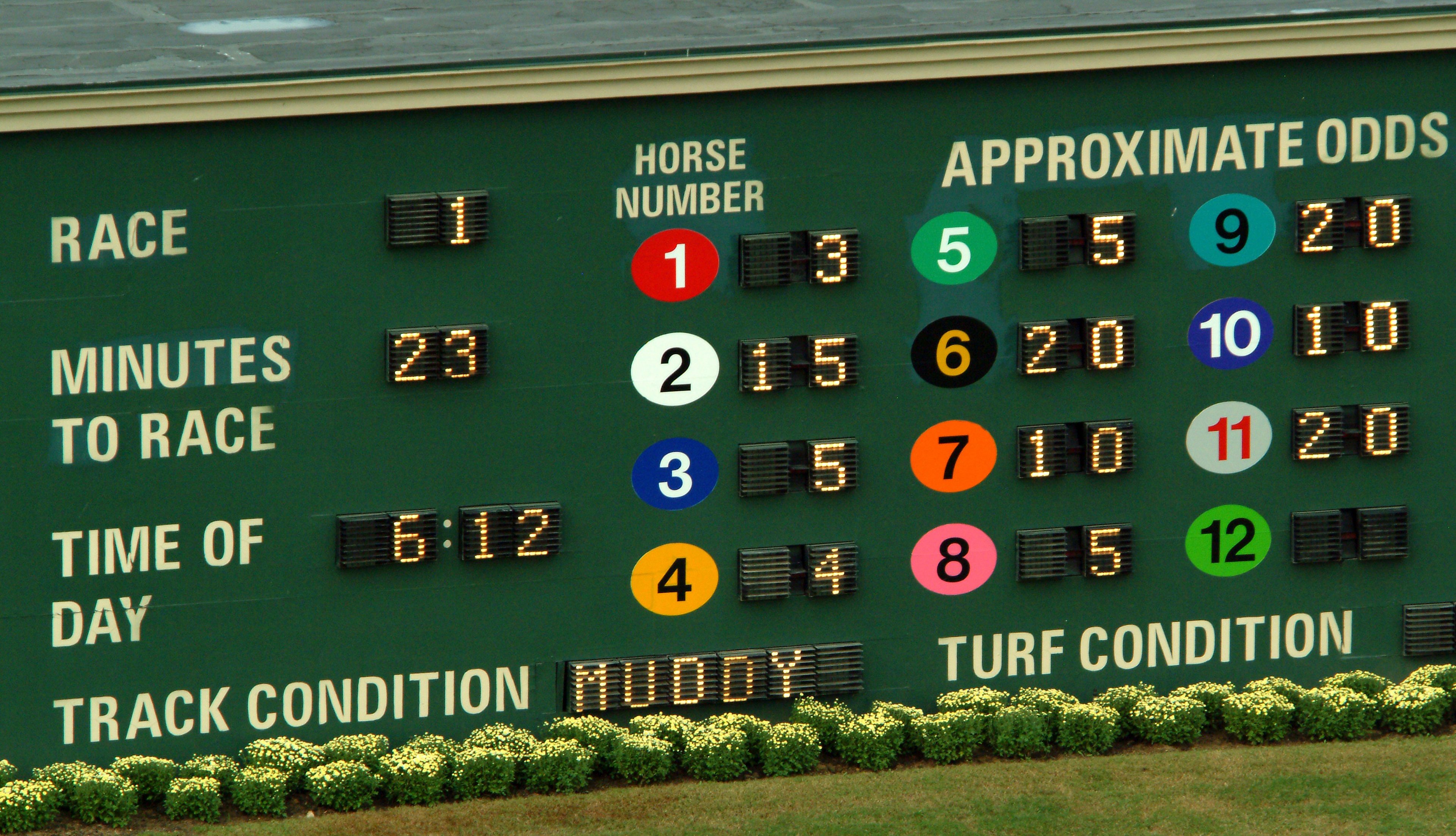 A horse racing board.