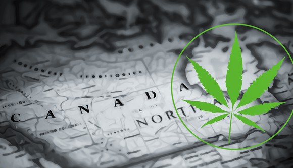 Cannabis leaf in a circle on a background of a map of Canada.