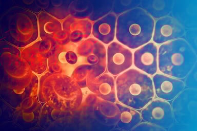 GettyImages-999970232