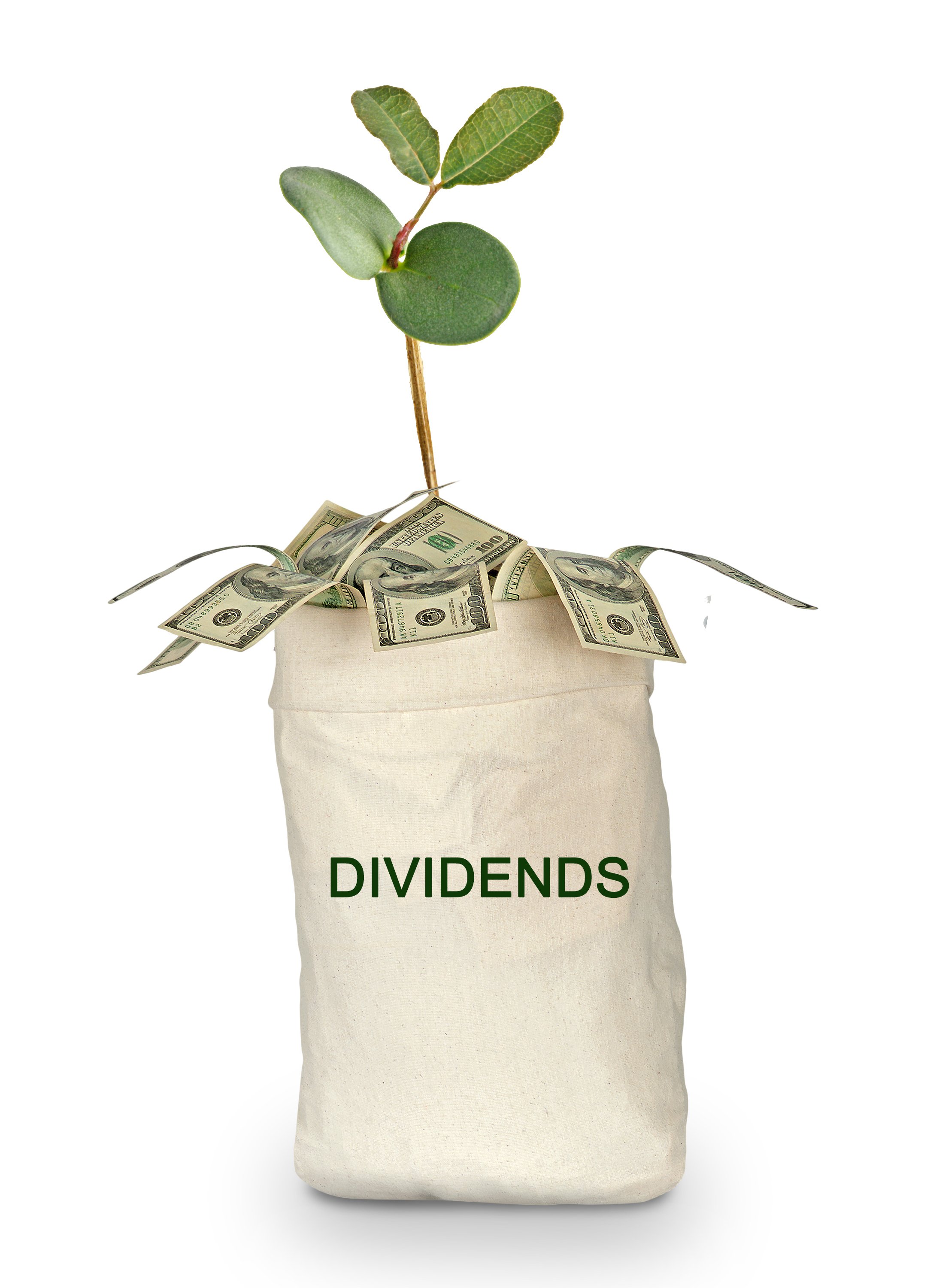 A cloth bag labeled "dividends" with a small plant and a bunch of money "growing" out of it