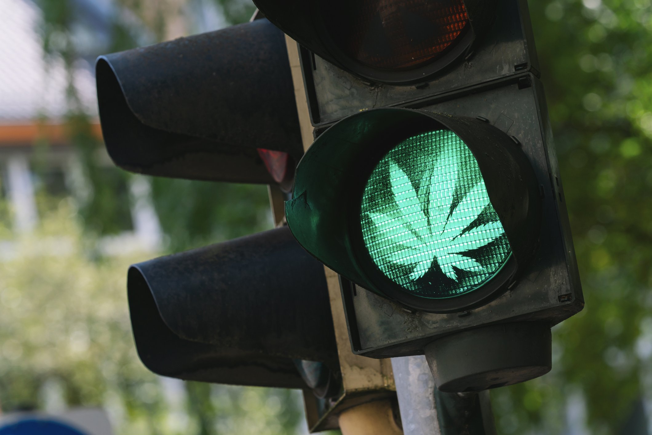 Cannabis leaf on a green light traffic signal.