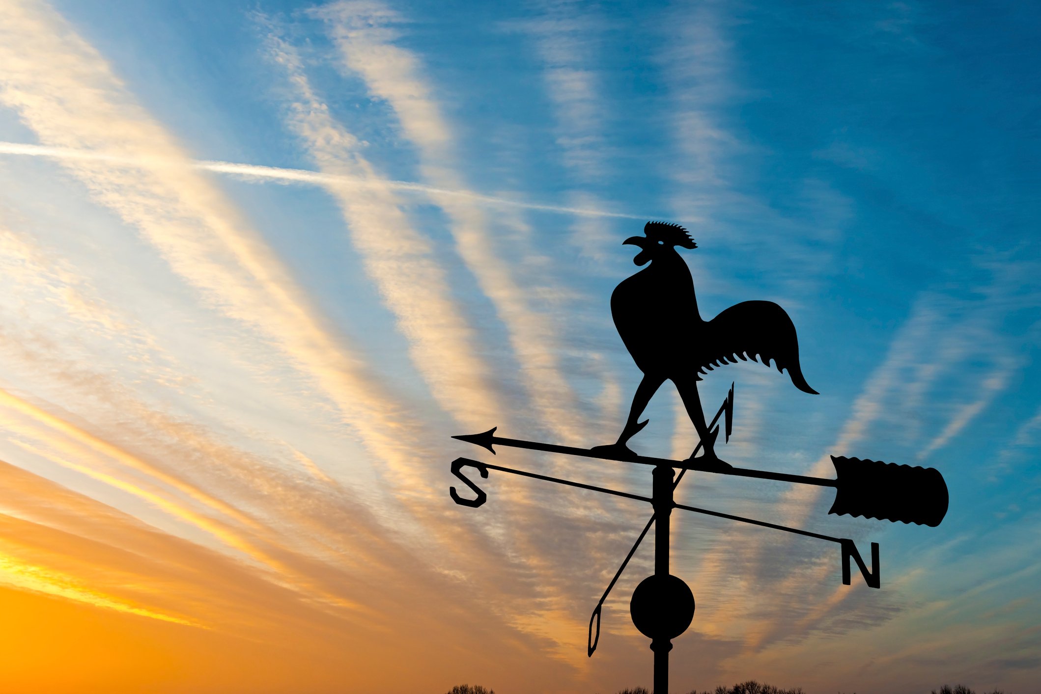 Weather vane