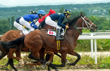 horse race
