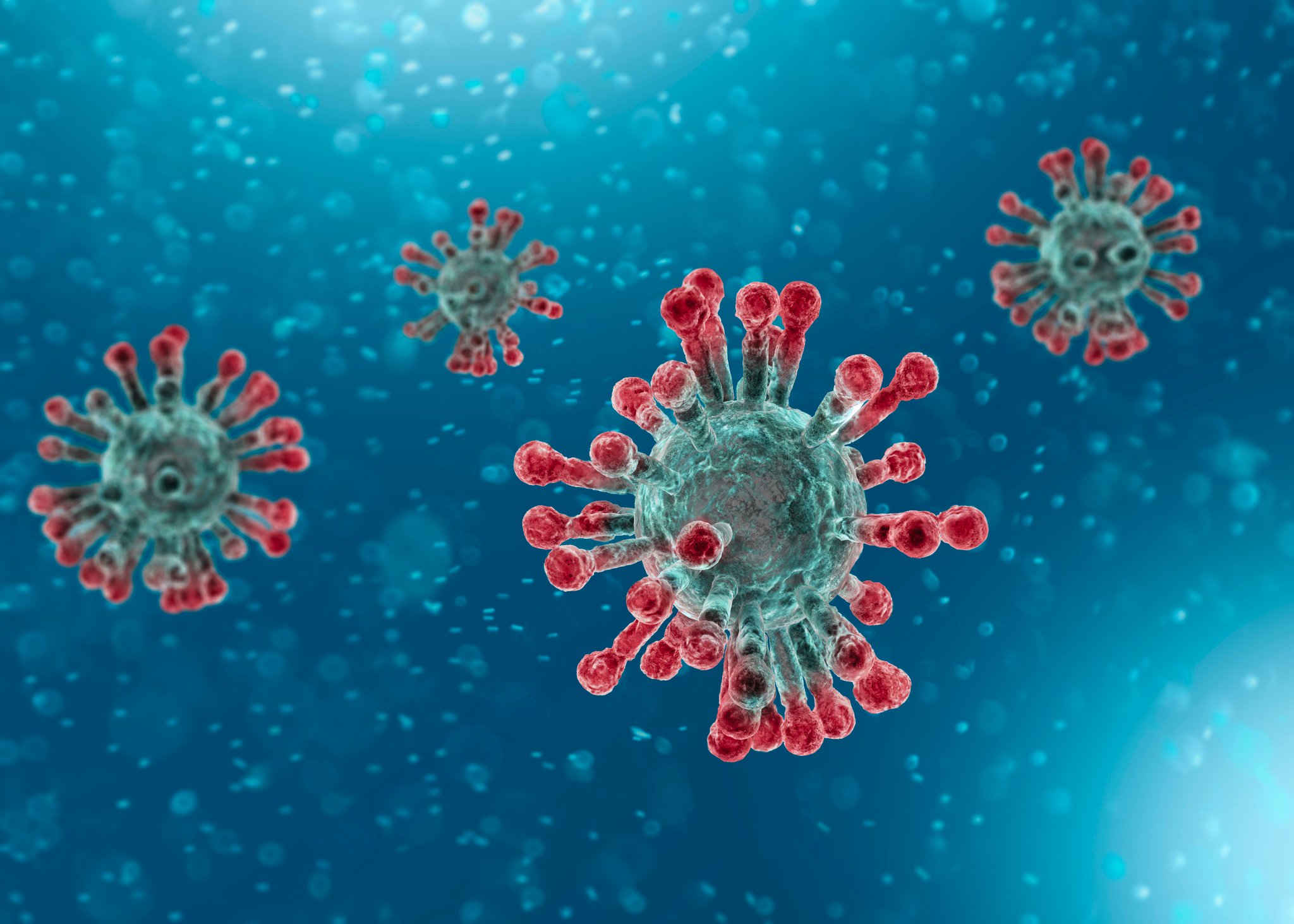 Coronavirus in close-up.