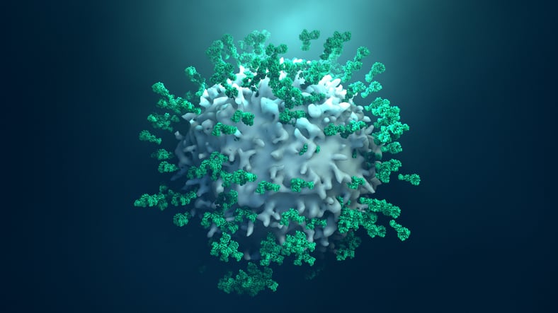 Antibodies attacking a cancer cell.