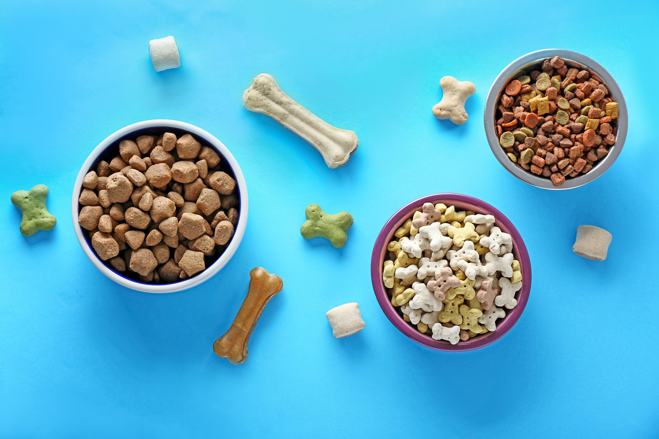 Various types of pet food and treats