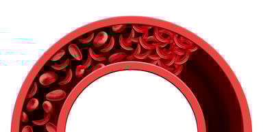 GettyImages-1097423774